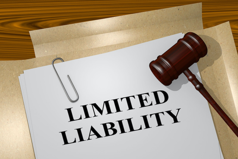 Limited Liability Folder With Gavel